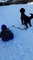 Watch the hilarious moment a family’s puppy careers off dragging their sledge - sending their four-year-old flying