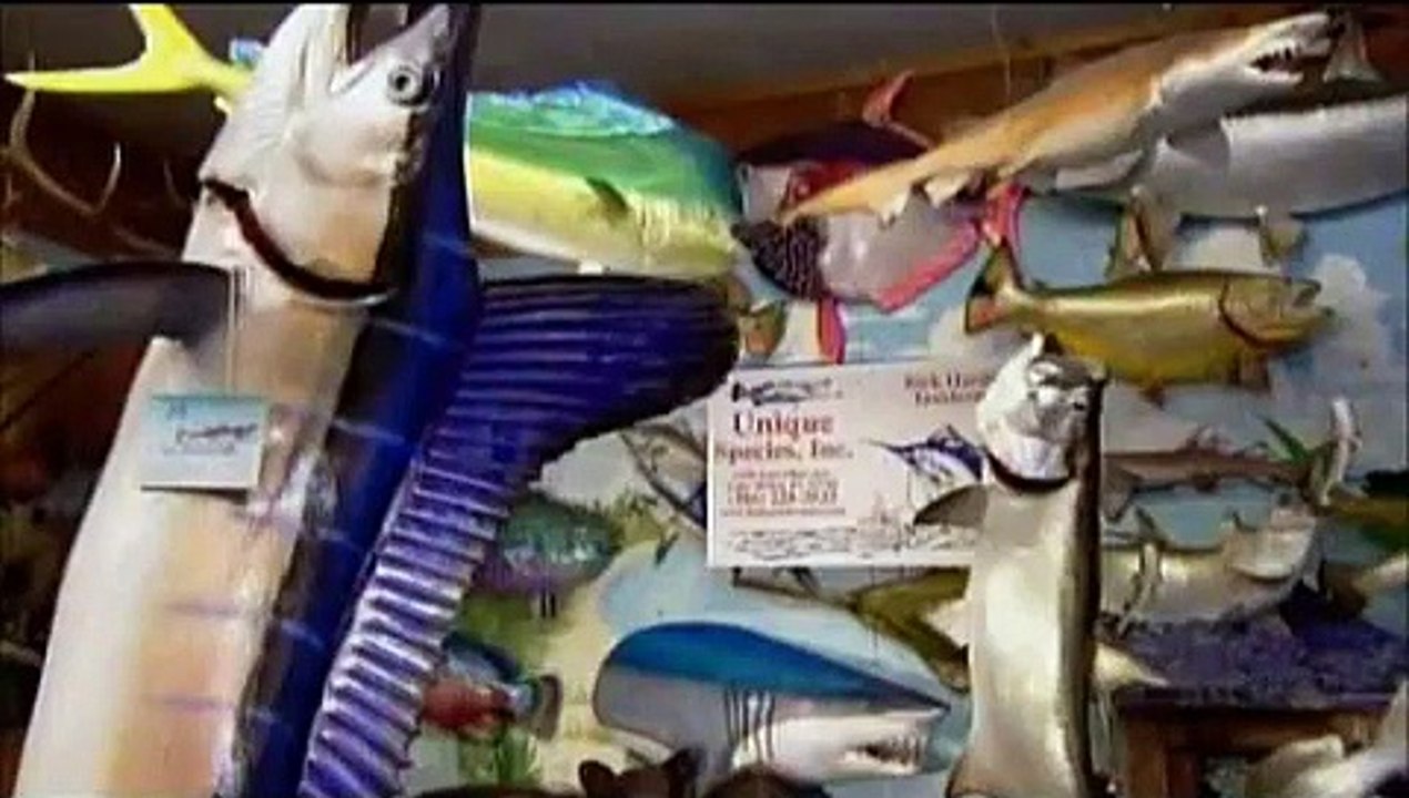 How Its Made - 881 Fish Replicas
