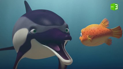 دانك يتعرف على الدولفين الدوار