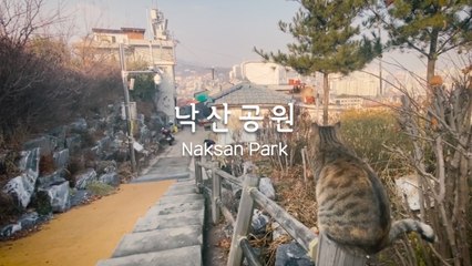 랜선여행 서울 낙산공원(Korea Online Tour, Seoul Naksan Park) / 디따