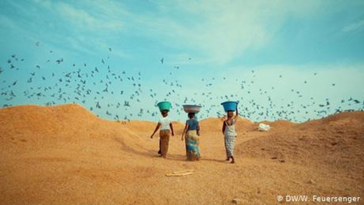 Gambia: Eine Recycling Queen räumt auf