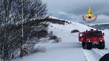 Castelluccio di Norcia (PG) - Forti nevicate, salvata mandria di cavalli (03.01.21)