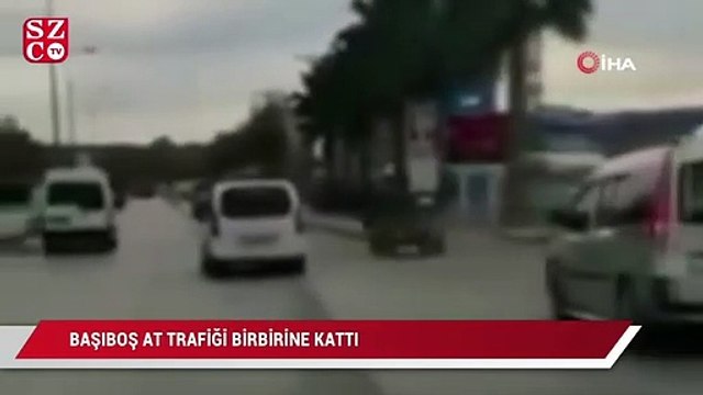 Başıboş at trafiği birbirine kattı