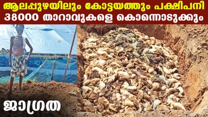 Bird flu conformed in Alappuzha and Kottayam | Oneindia Malayalam
