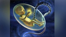 गर्भनाल क्या है | गर्भनाल से बच्चे को कैसे मिलता है खाना | Garbh Naal Kya Hoti Hai | Boldsky