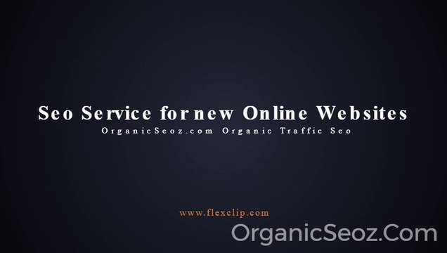 Affordable Google Organic Seo Traffic Service? Organic Seo Traffic for Google Search.