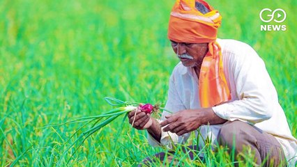 जानिये, सरकार किसानों की माँग मानने के लिए किन कारणों से तैयार नहीं!
