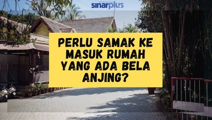 Perlu Samak Ke Masuk Rumah Yang Ada Bela Anjing?