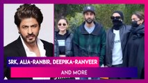 Shah Rukh Khan Leaves Fans Excited With His New Year-Special Clip; Alia Bhatt - Ranbir Kapoor, Deepika Padukone - Ranveer Singh Return From Their Ranthambore Trip
