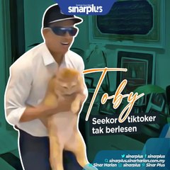 Toby, seekor tiktoker tak berlesen⁣