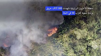 حرائق الغابات في البرازيل بلغت في 2020 أعلى مستوياتها منذ عشر سنوات