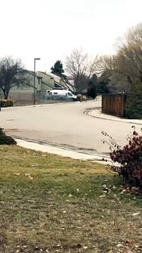 Perfectly Synchronized Deer Hopping Down the Street