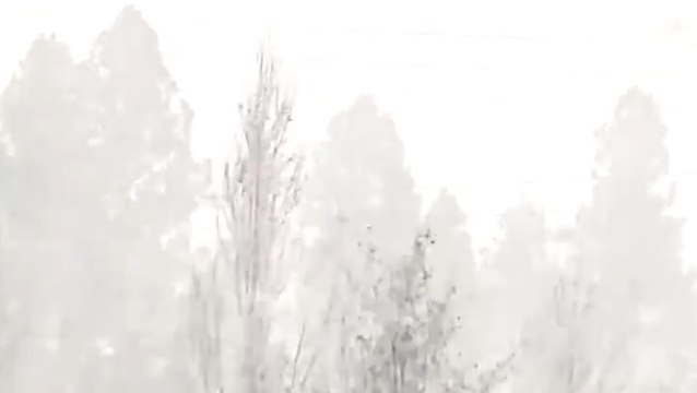 Visibility reduced as heavy snow sweeps through Montana