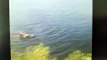 Corpo de Bombeiros salva mulher de afogamento em Patos