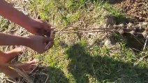 Maya Fishing with thorn at rural areas...কাঁটা দিয়ে ছোটো মায়া মাছ ধরা ।