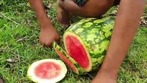 Amazing Fishing Technique With Watermelon_ Fish Come Out From Many Hole _ Fruit Fishing Video.