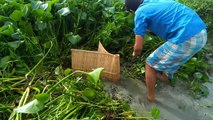 Best Bamboo Fishing Trap. How To Catch Fish In Running Water . Catch prawn fish,catfish .