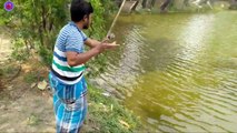 Best Fishing Through  Rod.. ! rural areas angler...