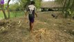 The method of fishing trap with thick tree roots.গাছের মোটা শিকড় দিয়ে মাছ ধরার কায়দা দেখুন ।