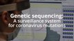 Coronavirus variants - Why the UK leads on gene sequencing