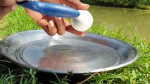 Unbelievable Fishing ! Amazing Small Fish Finding And Catching By Hen-Eggs _ Best Fishing Ideology