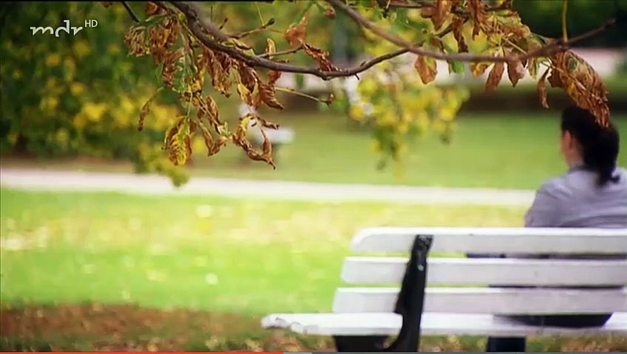 Rote Rosen Folge 248