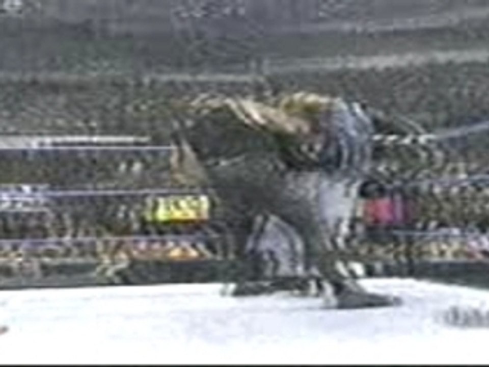 Undertaker