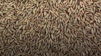 7 Grains That Are Just as Easy to Prepare as Rice