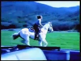 Bruce Springsteen - Secret Garden