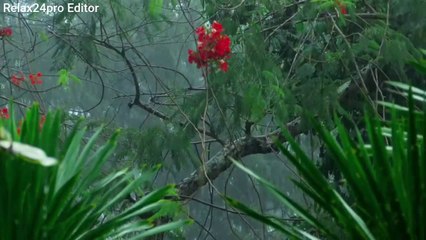 Rain ️ Sounds For Deep Sleep Relaxing Rain ️ Sounds For Fresh Sleep 1 Hours