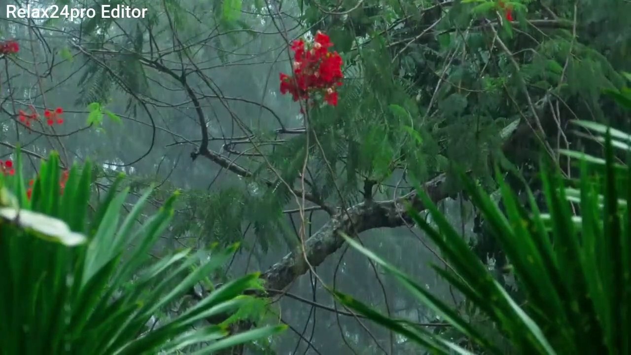 Rain ️ Sounds For Deep Sleep Relaxing Rain ️ Sounds For Fresh Sleep 1 Hours