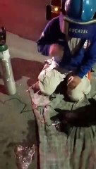 Un bombero le da primeros auxilios a un gato tras salvarlo de un incendio