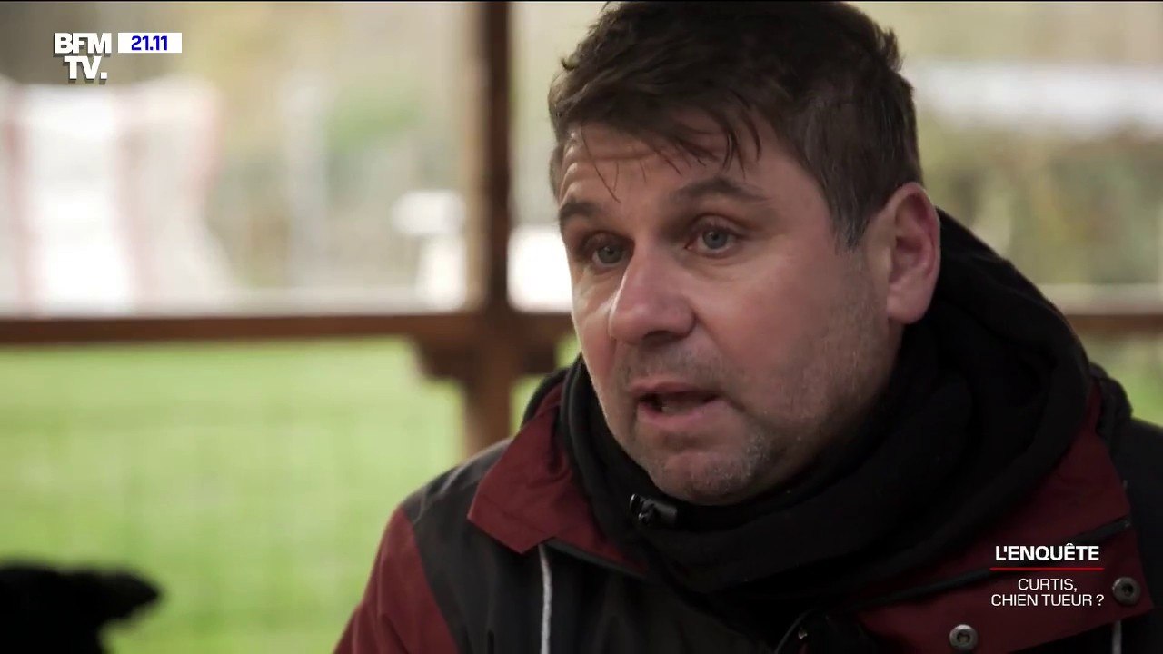 Curtis, le chien accusé d'avoir tué Elisa Pilarski participait à des concours canins organisés par des propriétaires de pitbulls