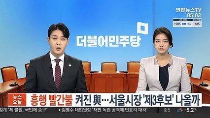 흥행 빨간불 켜진 與…서울시장 '제3후보' 나올까