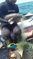 Baby Dolphin Rescued from Netting