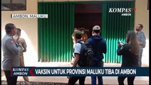 Vaksin Untuk Provinsi Maluku Tiba Di Ambon