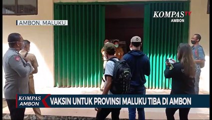 Download Video: Vaksin Untuk Provinsi Maluku Tiba Di Ambon