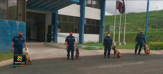 tn7-6-perros-que-nacieron-en-la-Unidad-Canina-serán-capacitados-040121