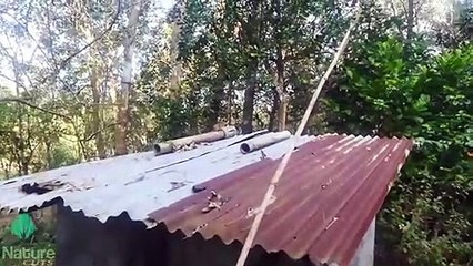 ഈ അണ്ണാന്‍ ചെയുന്നത് കണ്ടോ??? One minute time in the life of a squirrel | Nature Cuts