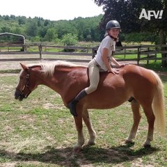 Top 25 Animal Encounters