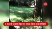Video: जब पार्क में खेलते हुए बच्चे ने लकड़ी समझ कर पकड़ लिया सांप, देखिए फिर क्या हुआ