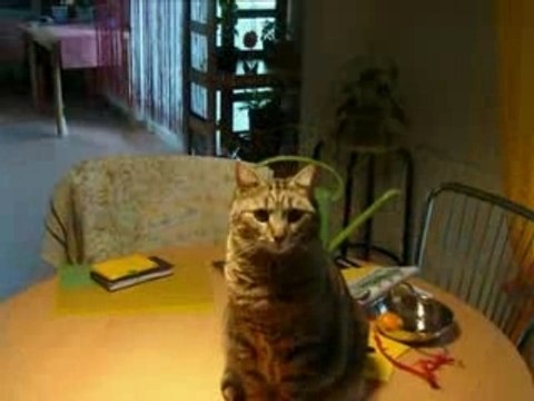 Planques inusitées!