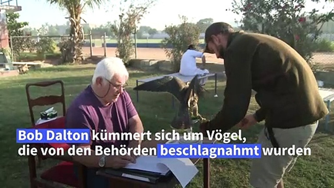Falkenschmuggel in Pakistan: Ein großes Geschäft