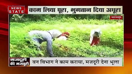 छत्तीसगढ़: काम कराने के बाद मजदूरी देना भूल गया वन विभाग, पलायन को मजबूर हुए मजदूर
