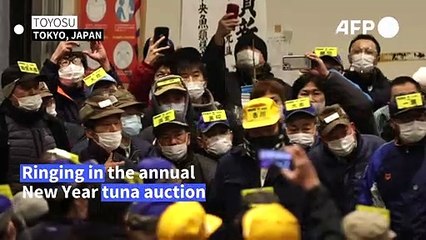 Pandemic overshadows Japan's New Year tuna auction