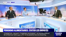 Pension alimentaire : éviter les impayés - 05/01