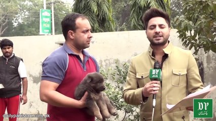 Woh Pakistani jiskay pas crore ropay se b zaaid k kuttay hain, inkay naaz nakhray insano se b ziada