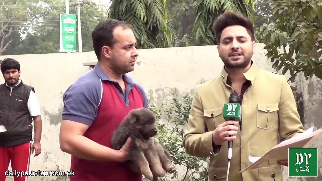 Woh Pakistani jiskay pas crore ropay se b zaaid k kuttay hain, inkay naaz nakhray insano se b ziada