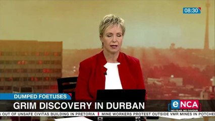 Six foetuses dumped in Durban