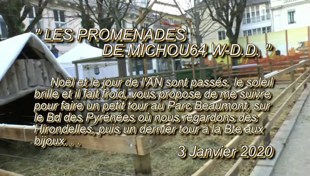 LES PROMENADES DE MICHOU64 W-D.D. - 3 JANVIER 2021 - PAU - LENDEMAINS DE FËTES